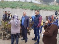 11 milyon ağaç. Bugün fidan, yarın nefes...